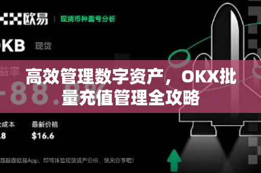 高效管理数字资产，OKX批量充值管理全攻略