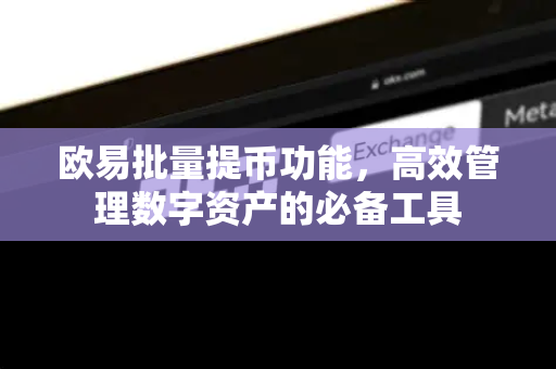 欧易批量提币功能,高效管理数字资产的必备工具 欧易批量提币功能,高效管理数字资产的必备工具