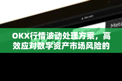 OKX行情波动处理方案，高效应对数字资产市场风险的全指南
