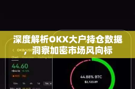 深度解析OKX大户持仓数据,洞察加密市场风向标 深度解析OKX大户持仓数据,洞察加密市场风向标