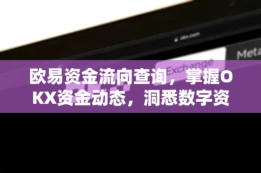 欧易资金流向查询，掌握OKX资金动态，洞悉数字资产走势