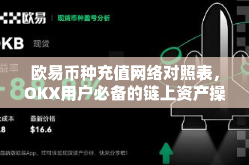 欧易币种充值网络对照表,OKX用户必备的链上资产操作指南 欧易币种充值网络对照表,OKX用户必备的链上资产操作指南