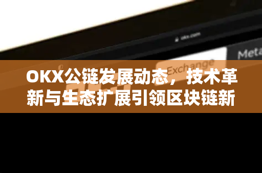 OKX公链发展动态,技术革新与生态扩展引领区块链新格局 OKX公链发展动态,技术革新与生态扩展引领区块链新格局