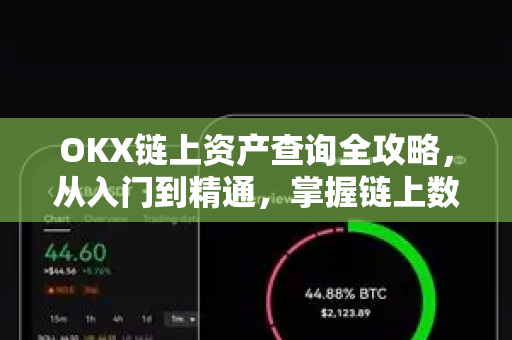 OKX链上资产查询全攻略，从入门到精通，掌握链上数据与资产安全