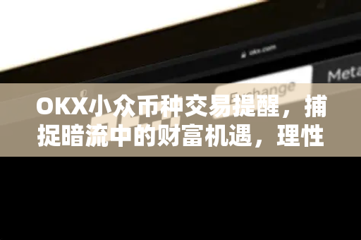 OKX小众币种交易提醒，捕捉暗流中的财富机遇，理性布局新赛道