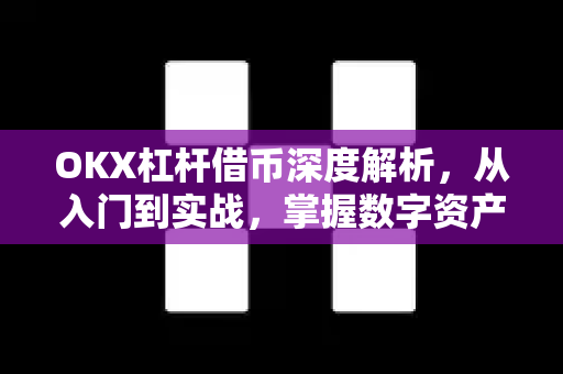 OKX杠杆借币深度解析,从入门到实战,掌握数字资产放大收益的核心策略 OKX杠杆借币深度解析,从入门到实战,掌握数字资产放大收益的核心策略