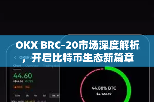 OKX BRC-20市场深度解析,开启比特币生态新篇章 OKX BRC-20市场深度解析,开启比特币生态新篇章