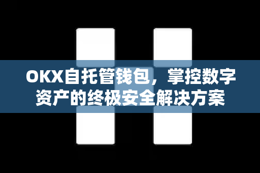 OKX自托管钱包，掌控数字资产的终极安全解决方案