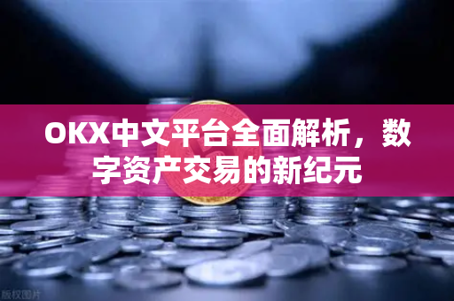 OKX中文平台全面解析，数字资产交易的新纪元
