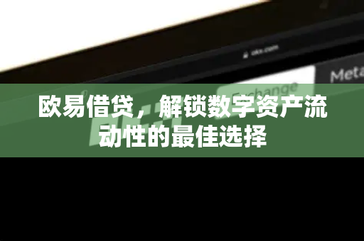 欧易借贷,解锁数字资产流动性的最佳选择 欧易借贷,解锁数字资产流动性的最佳选择