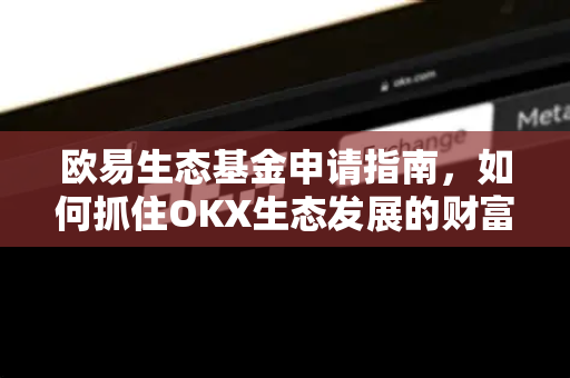 欧易生态基金申请指南，如何抓住OKX生态发展的财富机遇