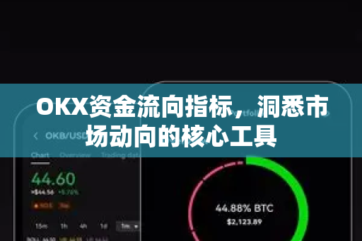 OKX资金流向指标，洞悉市场动向的核心工具